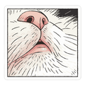 Expression No.197