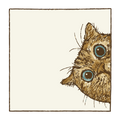 Expression No.198
